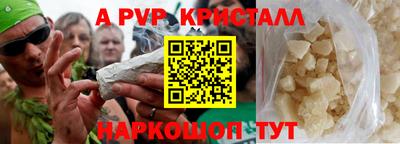 индика Гатчина