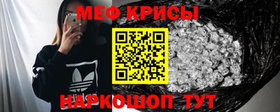 индика Гатчина