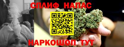 индика Гатчина
