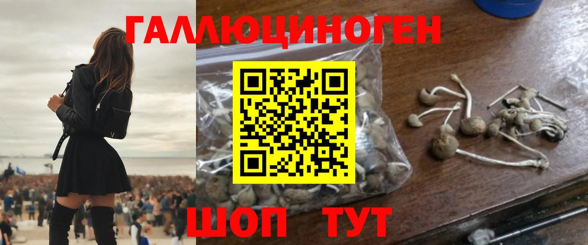 Мыски  Псилоцибиновые грибы ЛСД  Псилоцибиновые грибы ЛСД  хочу наркоту  Вход с VPN 